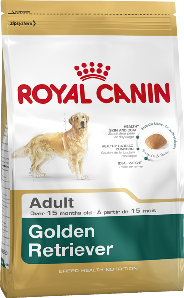 Golden Retriever 12 kg